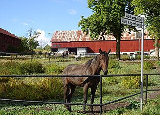 Ådös ekonomibyggnader.