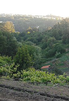 A encosta da Ribeira de Aboinha, com os seus tradicionais moinhos de rodizio harmoniosamente se enlaçados e integrados na paisagem, uma mancha florestal que constitui um verdadeiro "pulmão" do concelho de Gondomar, com uma vista magnífica sobre o rio Douro. A imagem mostra a parte final do percurso da ribeira entre o lugar de S. Jumil e a sua foz no rio Douro. Um vale magnífico com a sua ribeira, outrora ladeada de campos agrícolas, vinhas, árvores de fruto, e gentes.