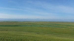 Bayan Baluk Reserve, with cutoff lakes of the Kaidu River