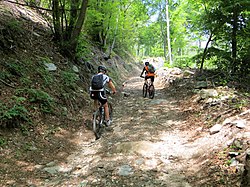 Picture of two bikers within the park