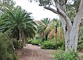 Boyce Thompson Arboretum trail.