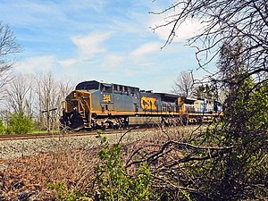 A blue diesel locomotive, with "CSX" in blue letters on its yellow front, pulling along a railroad track. In the foreground are trees and shrubs growing near the rails.