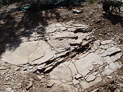 Fundstelle des Fossils 2002 vor Beginn der Grabungsarbeiten