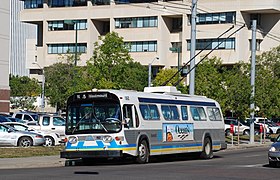 Image illustrative de l’article Trolleybus d'Edmonton