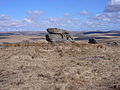 Fox Tor.