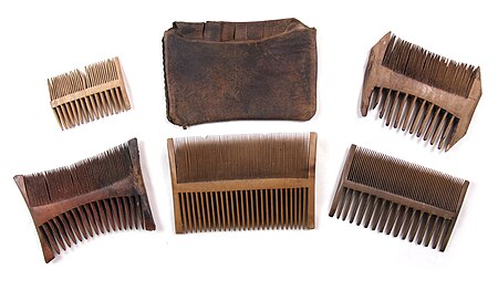 A set of combs found on the 16th-century ship Mary Rose