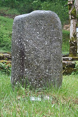 Image illustrative de l’article Statue-menhir de la Barraque des Fournials