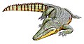 Paralligator major