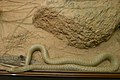 Speckled brown snake in captivity