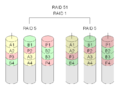 RAID 5+1: Any three drives of this can fail, without data loss.