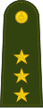 Roi Ek (ร้อยเอก) insignia of the Royal Thai Army