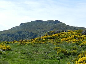 Vue du sommet depuis Peyre Gary lors de la floraison des genêts.