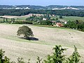 Champagne crayeuse du Montmorélien.