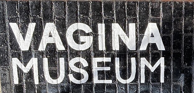 Vagina Museum