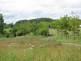 Vogelenzang (Anderlecht)