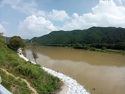 상류 방향(영주댐 방향). 장마 직후, 영주댐이 소량 방류 중이라 흙탕물이 흐르고 있음.