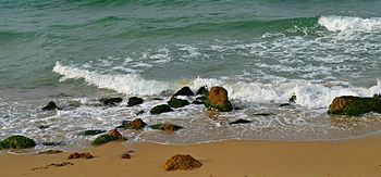 جانب من شاطئ جليم بالإسكندريَّة، وتظهر موجة صغيرة تصطدم بالصخور المكسوّة بالطحالب