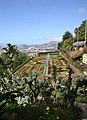 Jardim Botânico da Madeira