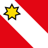 Flag of Thun District