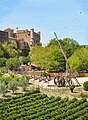 Chateau des Roure et son parc médiéval.