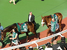 Image illustrative de l’article Cirrus des Aigles