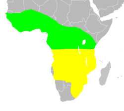 Distribución aproximada.