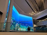 The digital wall at the Stanley A. Milner Library in Edmonton, Alberta