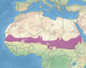 Description de l'image Ecoregion AT0713.svg.