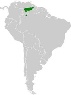 Distribución geográfica del fiofío de tepuí.