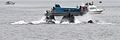 Humpback whales in Alaska