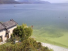 Plage de sable vue d'un belvédère.