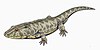 Illustration of a green, salamander-like Lydekkerina