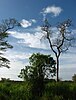 Savanna grasslands of Maduru Oya National Park