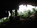 Niah Caves National Park