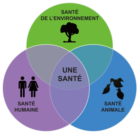 Une conception de la santé.