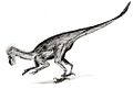 Ornitholestes