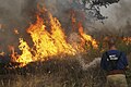 Image 10A Russian firefighter extinguishing a wildfire (from Wildfire)
