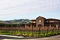 Ruby Hill Winery