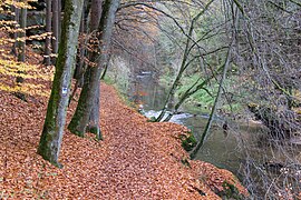 Die Schlucht im Herbst, November 2012