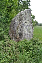 Menhir de la Roche Govi