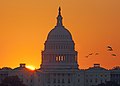 The U.S. Capitol Dome at sunrise