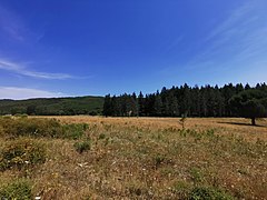 Vue large de la portion de plateau avec les menhirs au centre.