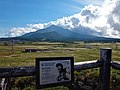 富士野園地所見的利尻山