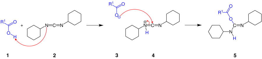 Teilschritt des Mechanismus der Steglich-Veresterung