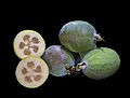 Feijoa or Pineapple guava (Feijoa sellowiana)
