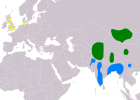 Aire de répartition de l'Oie à tête barrée