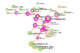 CiteSpace引文空间分析结果的可视化