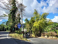 Puerto Rico Highway 164 at its junction with Puerto Rico Highway 165 in Lomas