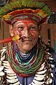 Image 31Shaman of the Cofán people from the Amazonian forest in present-day Ecuador (from Indigenous peoples of the Americas)