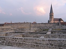 Vestiges de la forteresse de Châtel-sur-Moselle